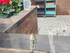 -上海自然博物馆