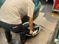 -魏铭鱼头捞饭(晋阳路店)