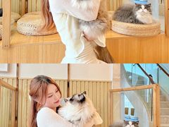 -Catmate·猫肥家润(金润铂宫店)