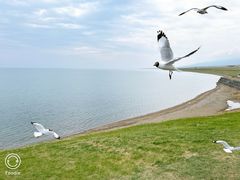 -青海湖国家重点风景名胜区