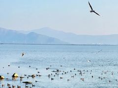 -深圳湾公园(南山区)