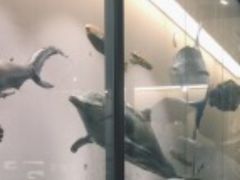 -南通博物苑-崇川人民公园