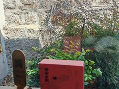-单家老院·院子里的青岛菜(沙子口店)