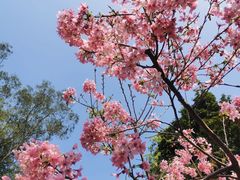 -桃花涧