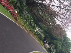 -南宁南湖公园