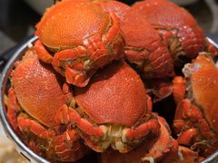 -太湖饭店玉兰厅(自助餐厅)