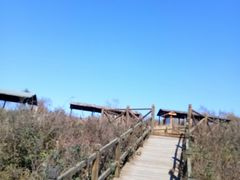 -野三坡百草畔景区
