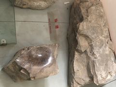 -赵州桥景区