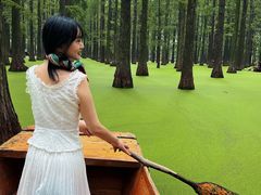 -渌洋湖湿地公园