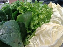 蔬菜拼盘-不老仙金汤虾丸火锅