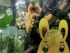 -海南热带野生动植物园