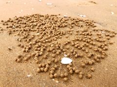-青岛银沙滩