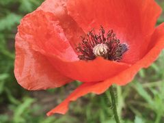 -玄武湖景区-情侣园游乐场