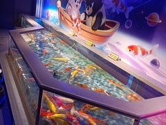 -大连圣亚海洋世界