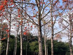 -南宁南湖公园