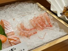 -月龍吟(朝龙汇店)