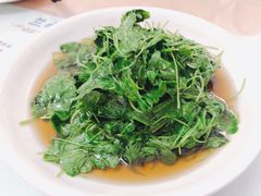 酒香草头-蘭心餐厅(进贤路店)