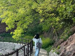 -巢湖姥山岛