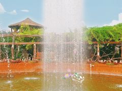 -呀路古热带植物园