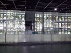 -广东中医药博物馆
