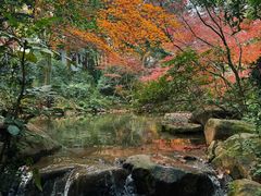 -中国茶叶博物馆(双峰馆区)