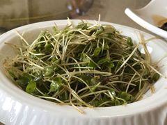 -蝶苑(吴江路店)