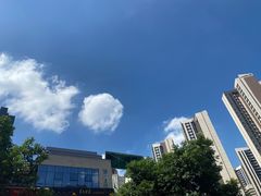 -生如夏花泰式火锅(鹭洲里店)