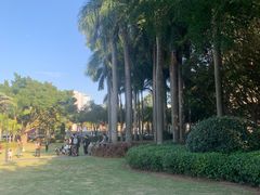 -白鹭洲公园