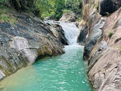 -广州白江湖森林公园