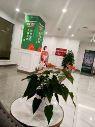 -丽都整形美容医院·全国连锁旗舰店