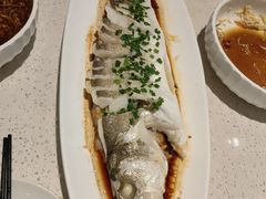 -船歌·鱼水饺青岛菜(金狮广场店)