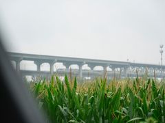 -黄河富景生态世界