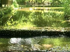 -成都市活水公园
