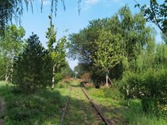 -永定河休闲森林公园