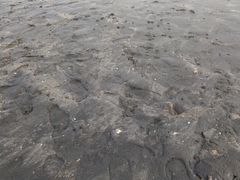 -台山黑沙湾海浴场