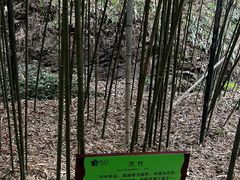 -常德桃花源景区