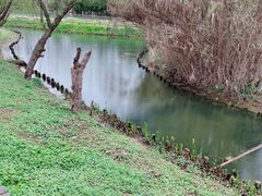 -前小桔亲子创意农场·草莓采摘·露营烧烤