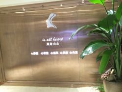 iphone_upload_pic-SO HAIR