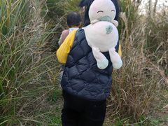 -东湖落雁景区