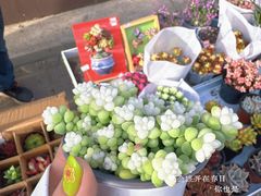 -辛庄国际文化艺术区