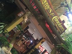 -卷心菜和避孕套餐厅(Pattaya)