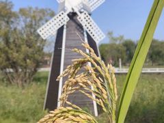 -长兴太湖图影湿地文化园