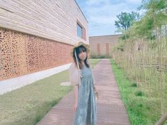 -盘龙城国家考古遗址公园