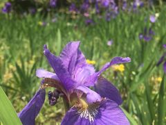 -苏州河梦清园环保主题公园