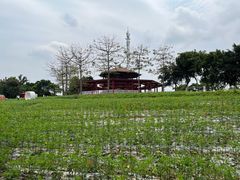 -光明农场大观园