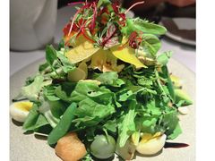夏朵花园沙拉-夏朵花园(复兴西路店)
