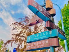 -三里屯东五街银杏大道