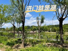 -东郊湿地公园