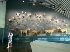 -中国湿地博物馆