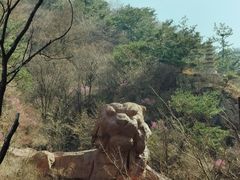 -崂山九水游览区